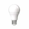 Gifi Ampoule^Ampoule à LED A60 Homday blanc chaud
