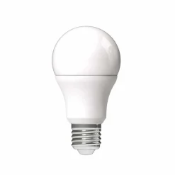Gifi Ampoule^Ampoule à LED A60 Homday blanc chaud
