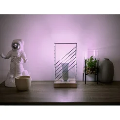 Gifi Ampoule^Ampoule bulbe LED connectée couleurs changeantes E27 80 W