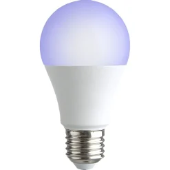 Gifi Ampoule^Ampoule LED E27 A60 couleurs changeantes avec télécommande 806lms