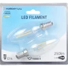 Gifi Ampoule^Ampoule LED filament Homday lumière chaude x2