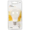 Gifi Ampoule^Ampoule LED Homday B22