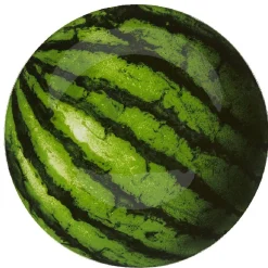 Gifi Assiette plate ronde imprimée pastèque