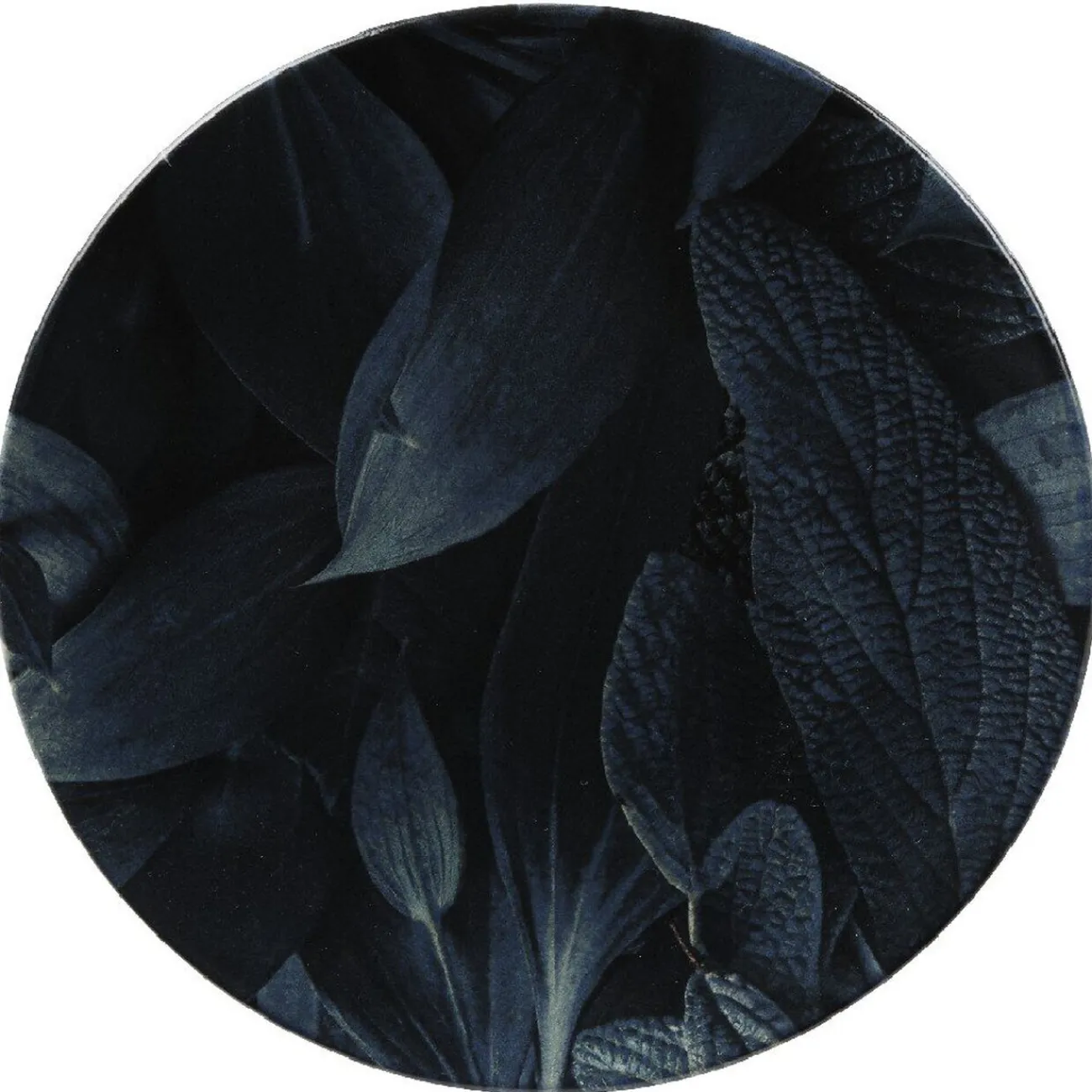 Gifi Assiette ronde plate motif feuillage vert noir