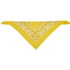 Gifi Beauté^Bandana motif paisley coloré 100% coton 53x53cm