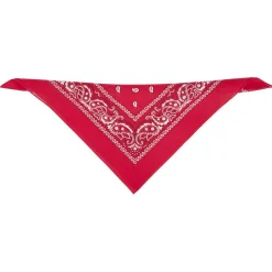 Gifi Beauté^Bandana motif paisley coloré 100% coton 53x53cm