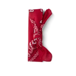 Gifi Beauté^Bandana paisley polyester 54x54cm - 7 coloris