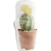 Gifi Quincaillerie^Bloque porte design cactus