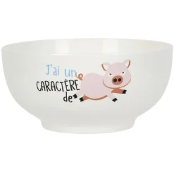 Gifi Bol humoristique en céramique