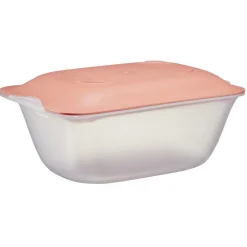 Gifi Boîte à fromage en plastique 18x12xH7,8cm