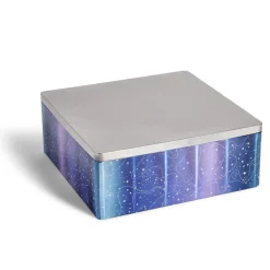 Gifi Boîte alimentaire carré en fer décor bleu et argenté 26x26xH10cm