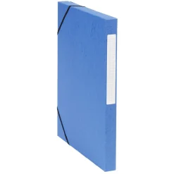 Gifi Rangement|Boîte de classement cartonnée élastique x4