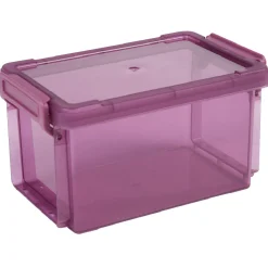 Gifi Rangement|Boîte de rangement transparente à clip 0,70L