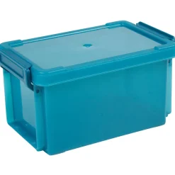 Gifi Rangement|Boîte de rangement transparente à clip 0,70L