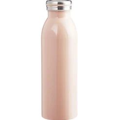 Gifi Bouteille isotherme inox uni 500 ml