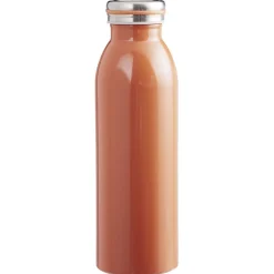 Gifi Bouteille isotherme inox uni 500 ml