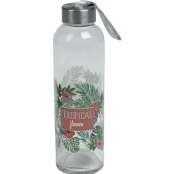 Gifi Bouteille transport en verre