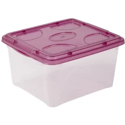 Gifi Rangement|Box de rangement 2 L transparent et violet