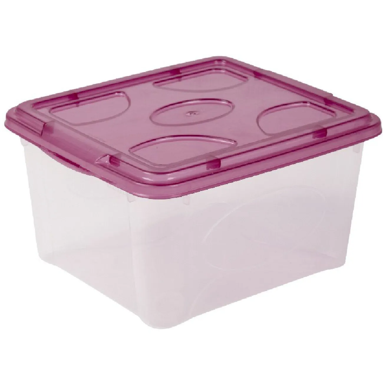 Gifi Rangement|Box de rangement 2 L transparent et violet
