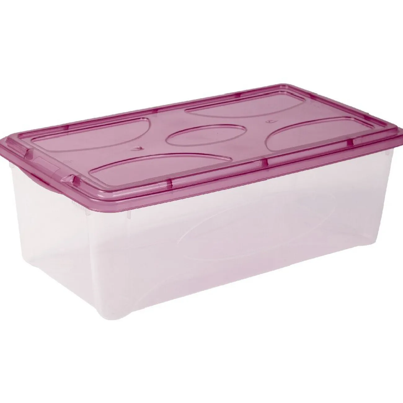 Gifi Rangement|Box de rangement 5 L transparent et violet