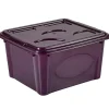 Gifi Rangement|Box de rangement violet 2 L