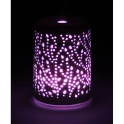 Gifi Bien-Être^Coffret diffuseur céramique blanc