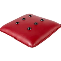 Gifi Bien-Être^COUSSIN VIBRANT MASSANT