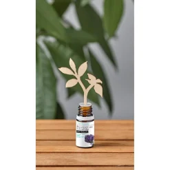 Gifi Bien-Être^Diffuseur 3 sticks en bois + 1 huile essentielle