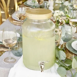 Gifi Distributeur de boisson 5L forme cactus