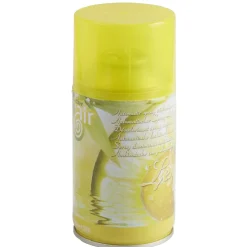 Gifi Nettoyage Et Entretien|Désodorisant avec recharge