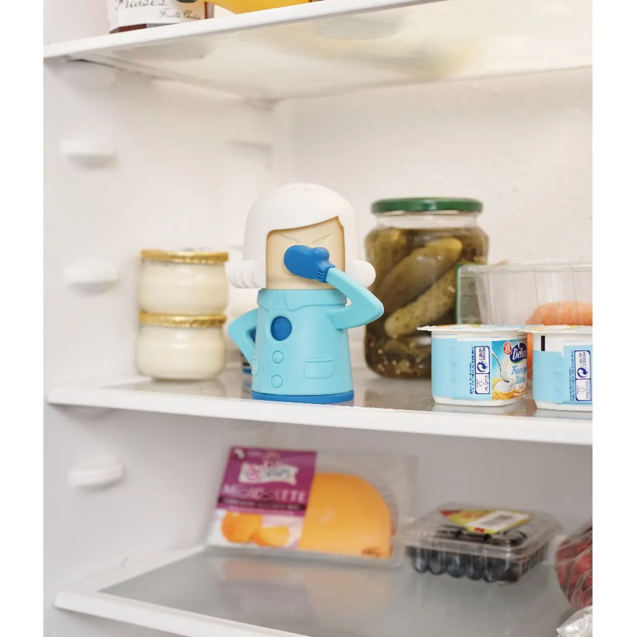 Gifi Nettoyage Et Entretien|Désodorisant pour frigo Cool Mama