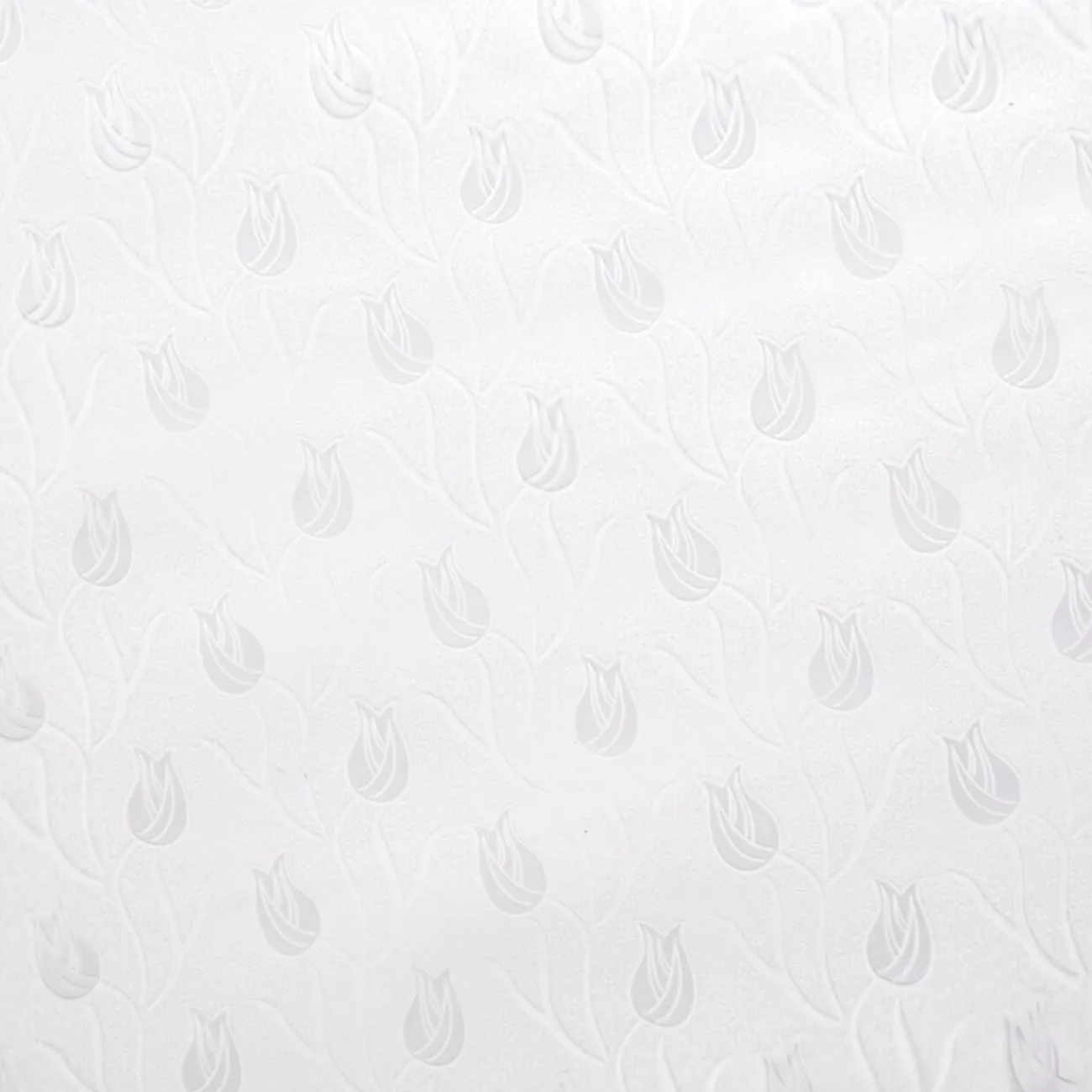 Gifi Quincaillerie^Film brise-vue transparent 45x200cm