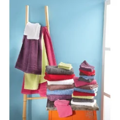 Gifi Beauté^GANT DE TOILETTE X2 COULEUR GRIS FONCE