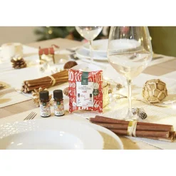 Gifi Bien-Être^Huile Duo de Synergies de Magie de Noël BIO Mességué x2