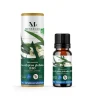 Gifi Bien-Être^Huile essentielle Eucalyptus Globulus Bio 10ML Messegué