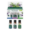 Gifi Bien-Être^Huile essentielle énergie bio sportif x3