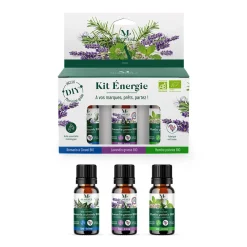 Gifi Bien-Être^Huile essentielle énergie bio sportif x3