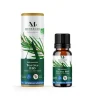 Gifi Bien-Être^Huile essentielle tea tree bio