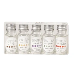 Gifi Bien-Être^Huile parfumée x5