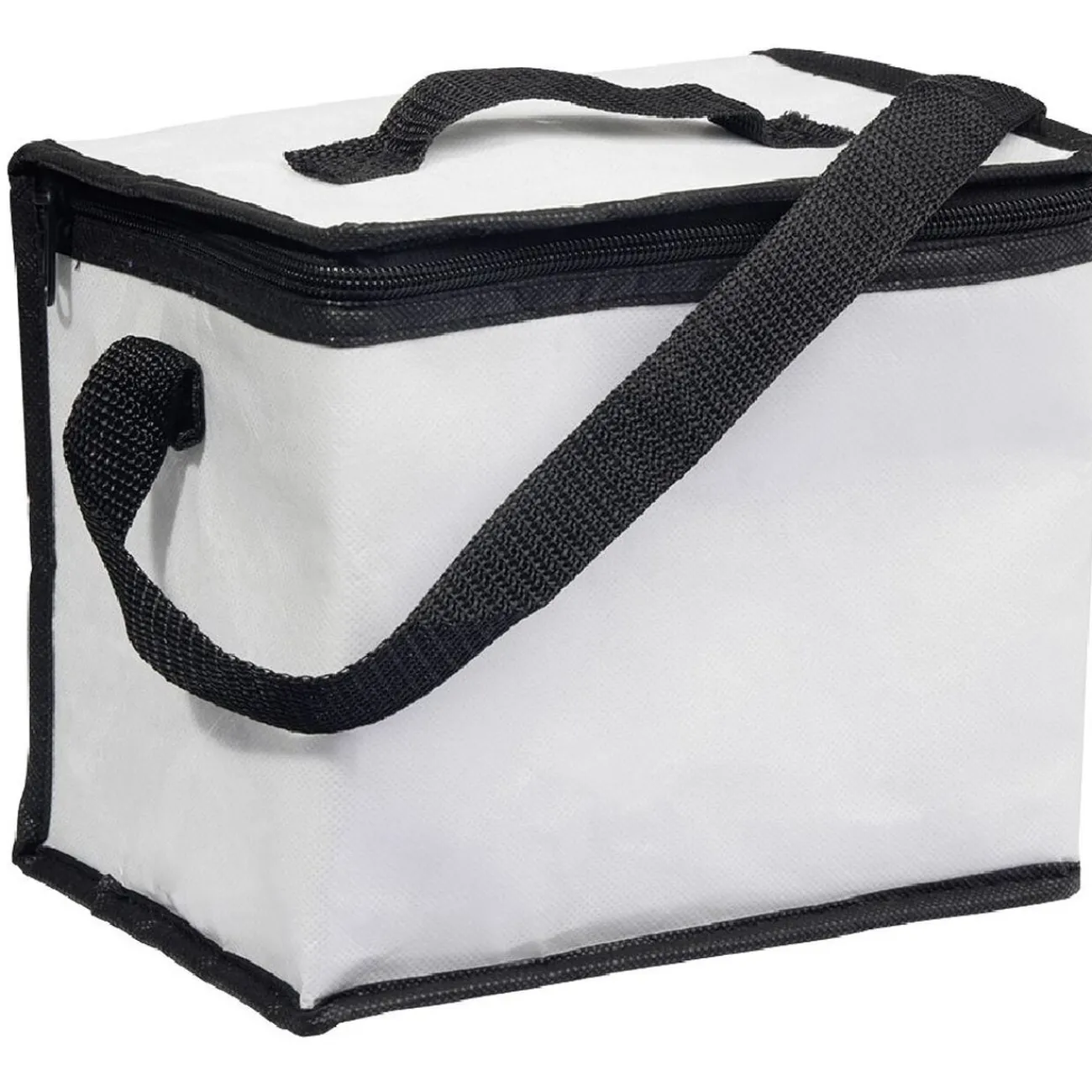 Gifi Lunch bag thermo 6l rose