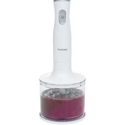 Gifi Mixeur plongeur Homday 2en1 200W