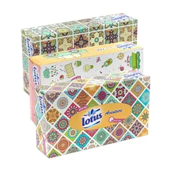 Gifi Bien-Être^Mouchoirs en papier Lotus aventure 2 plis - Boîte de 100 pièces