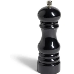 Gifi Moulin à poivre en plastique noir H17,5cm