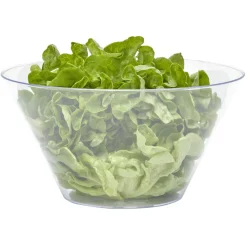 Gifi Saladier en plastique transparent