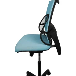 Gifi Bien-Être^Soutien pour dos en plastique noir