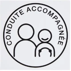 Gifi Colle Et Adhésif^Sticker voiture jeune conducteur