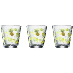 Gifi Verre conique bas motif exotique 25,5 cl x3